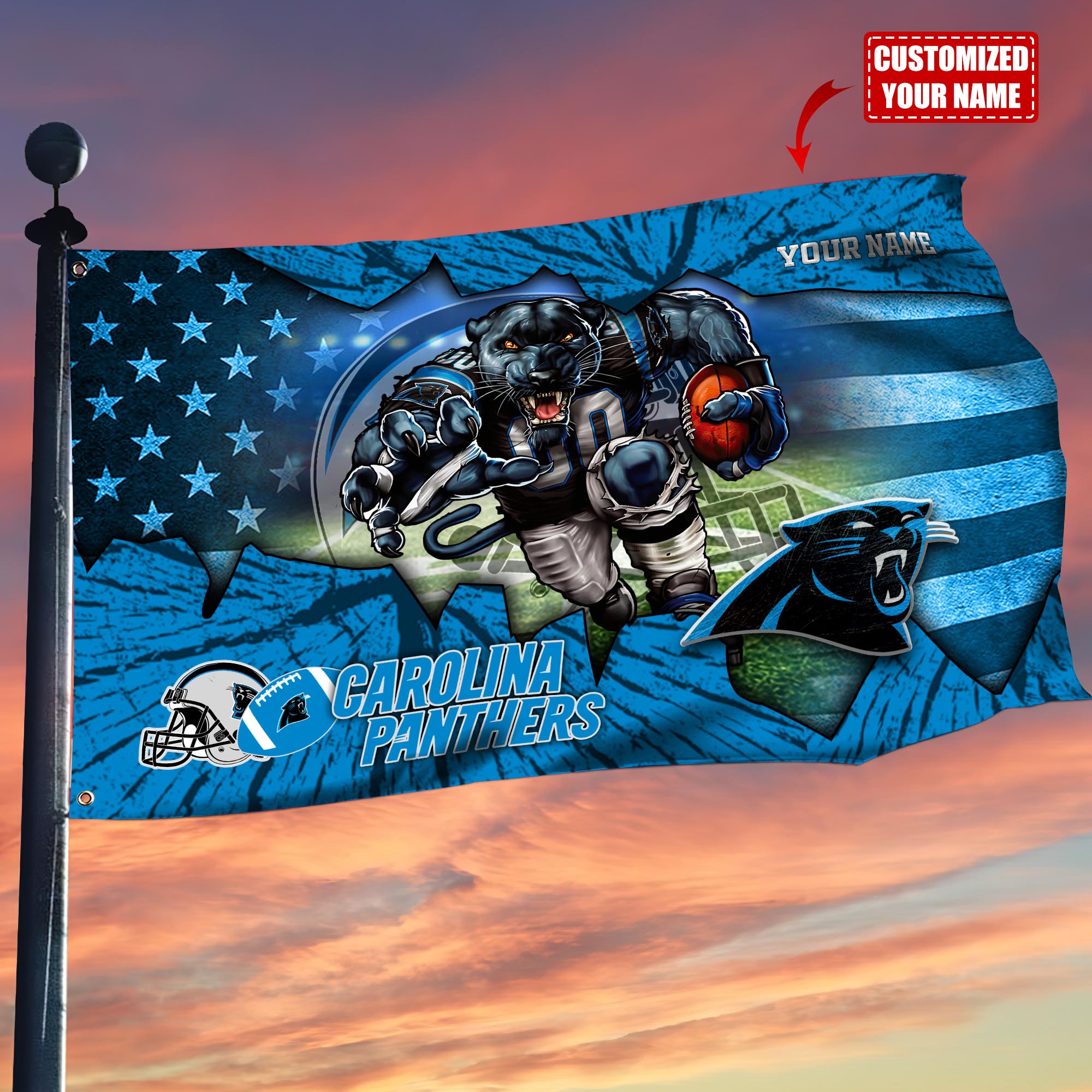 Carolina Panthers Flag American Custom Flag3x5ft For This Season TT59104