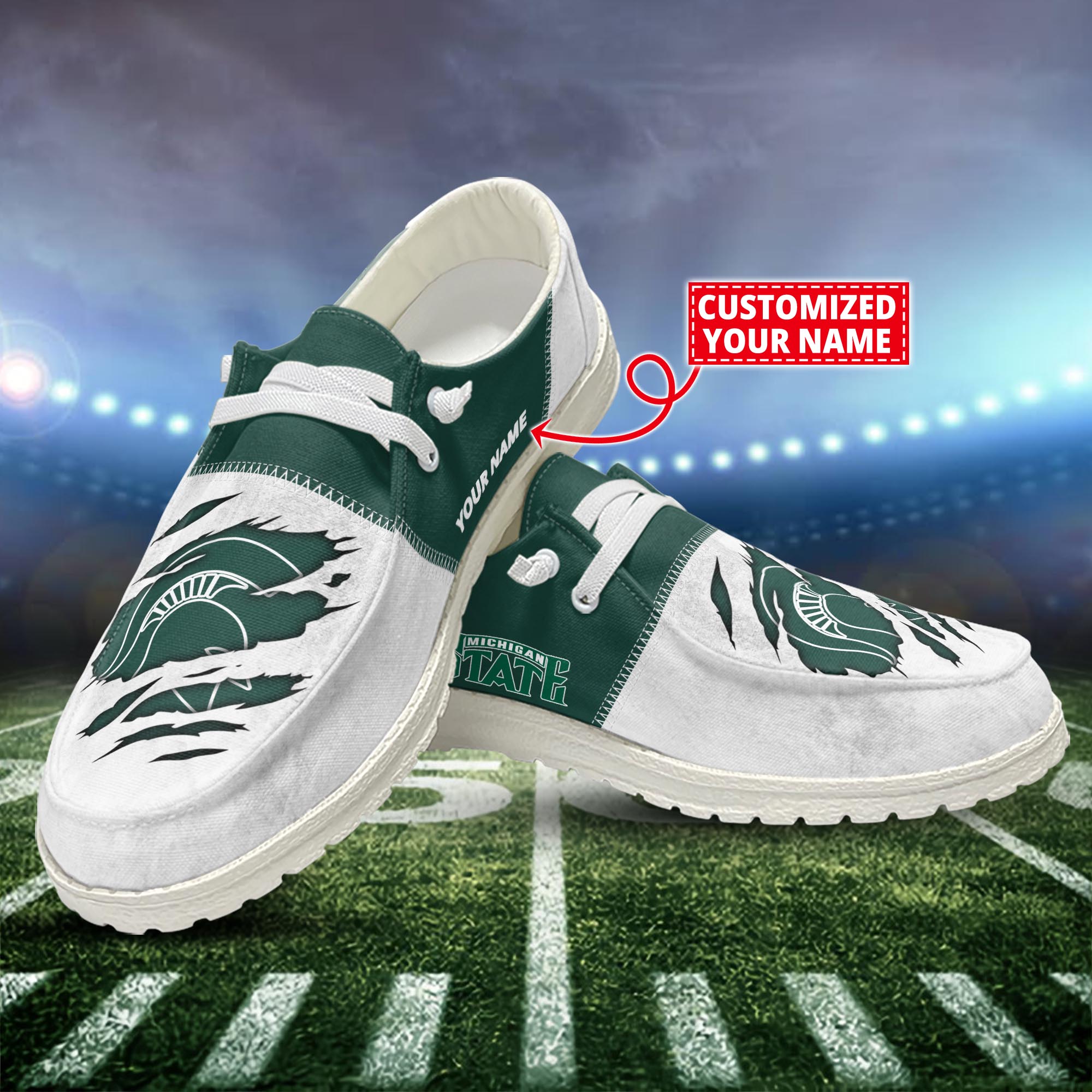 Michigan State Spartans H-D Shoes Custom H-52741