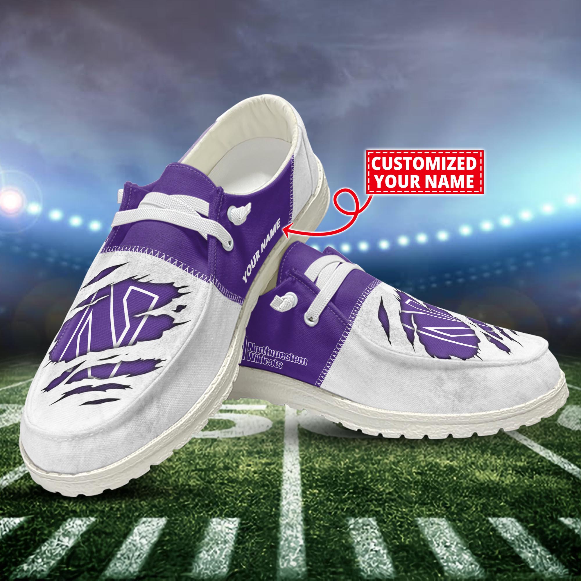 Northwestern Wildcats H-D Shoes Custom H-52741