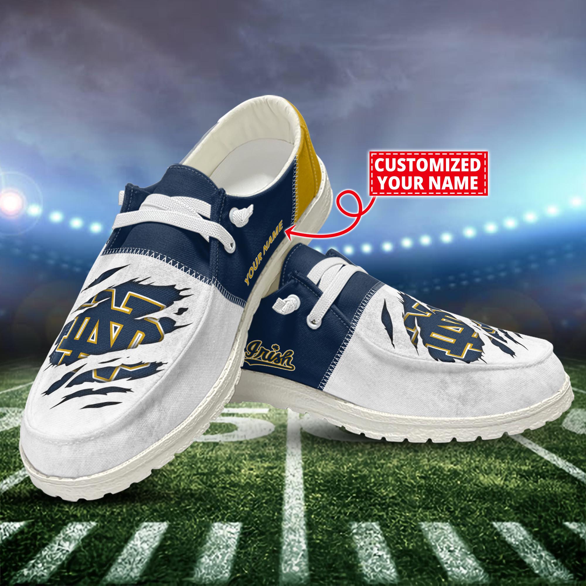 Notre Dame Fighting Irish H-D Shoes Custom H-52741