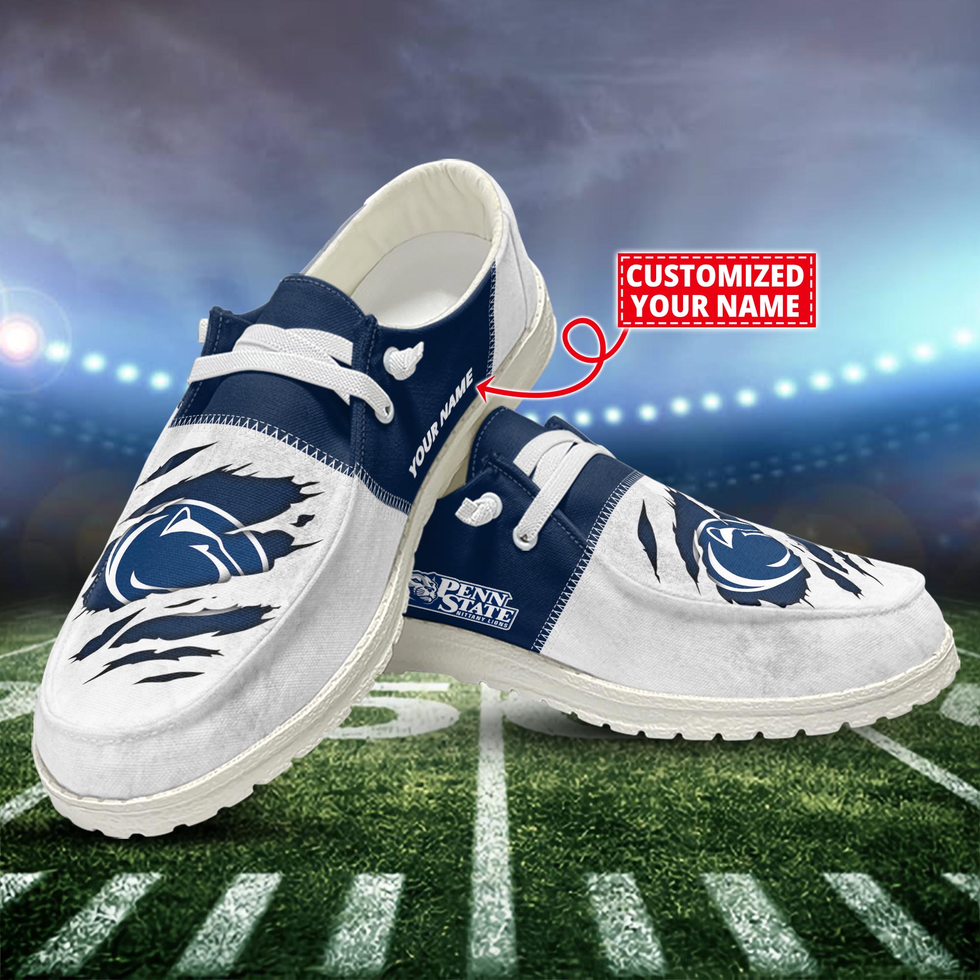 Penn State Nittany Lions H-D Shoes Custom H-52741