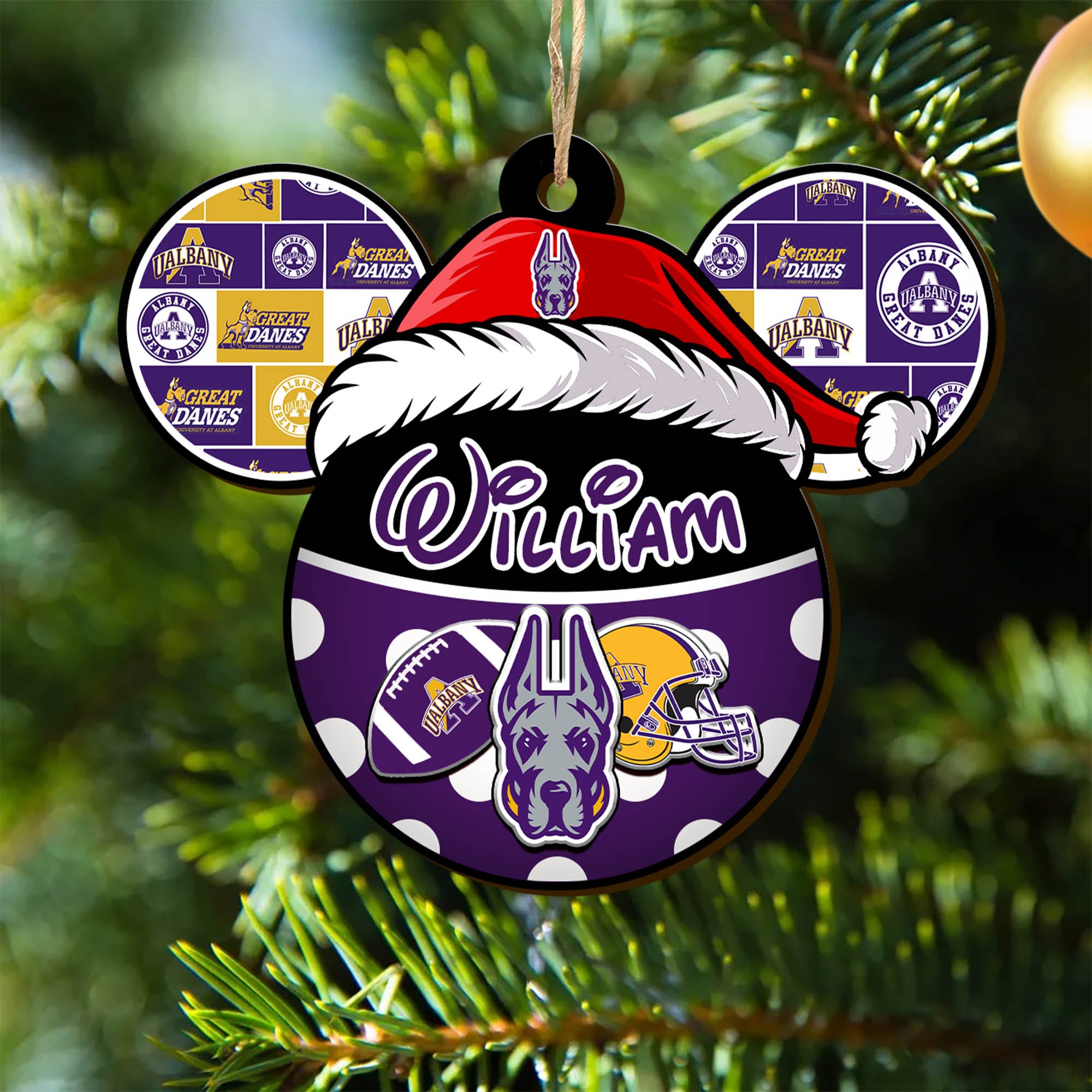 Albany Great Danes Wooden Ornament 2024 Version Personalized Your Name, Christmas Gifts For Sport Fan, Home Decorations ETHY-53354