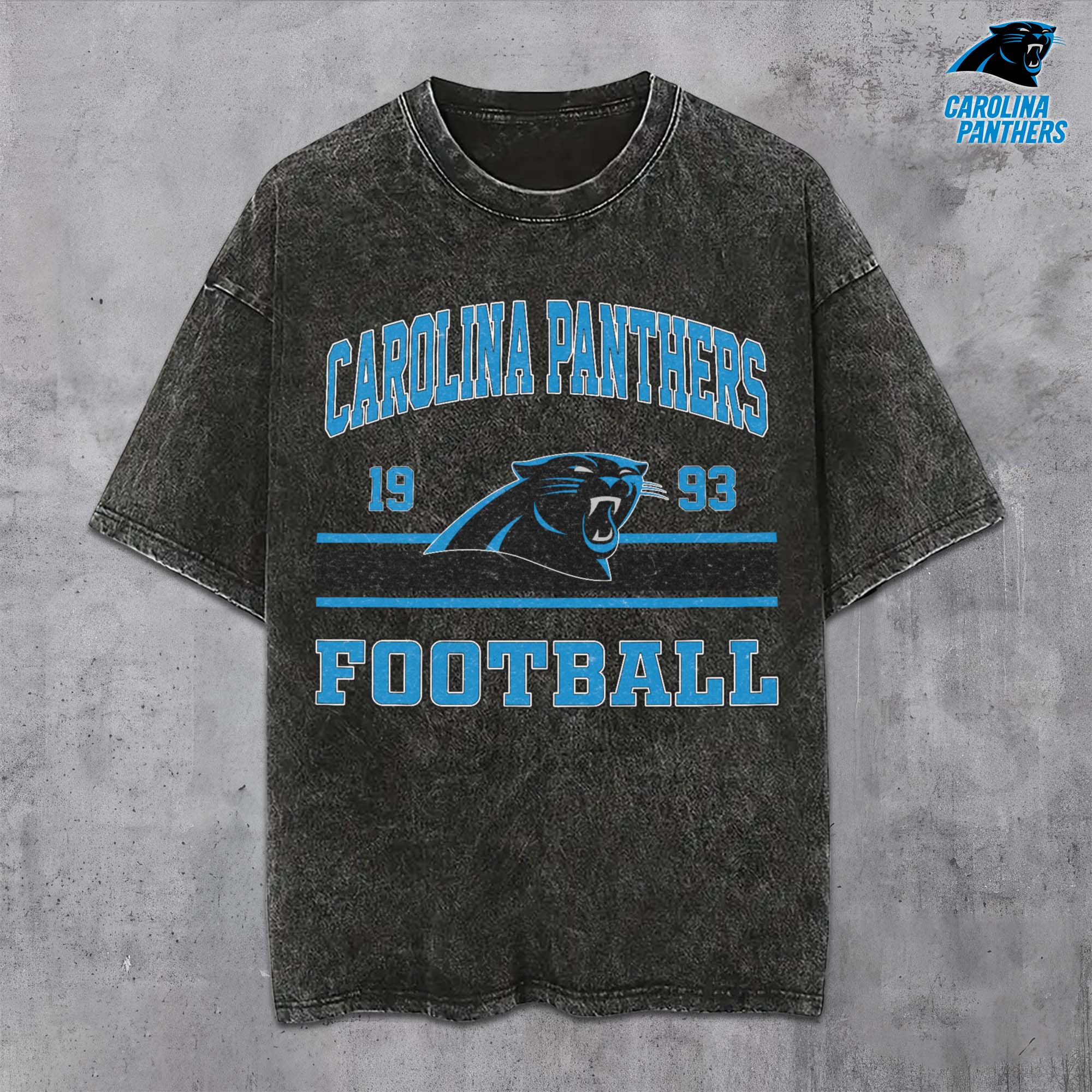 Carolina Panthers Vintage T-Shirt, Sport Shirts For Fan, Gifts For Football Lovers EHIVM-0204679