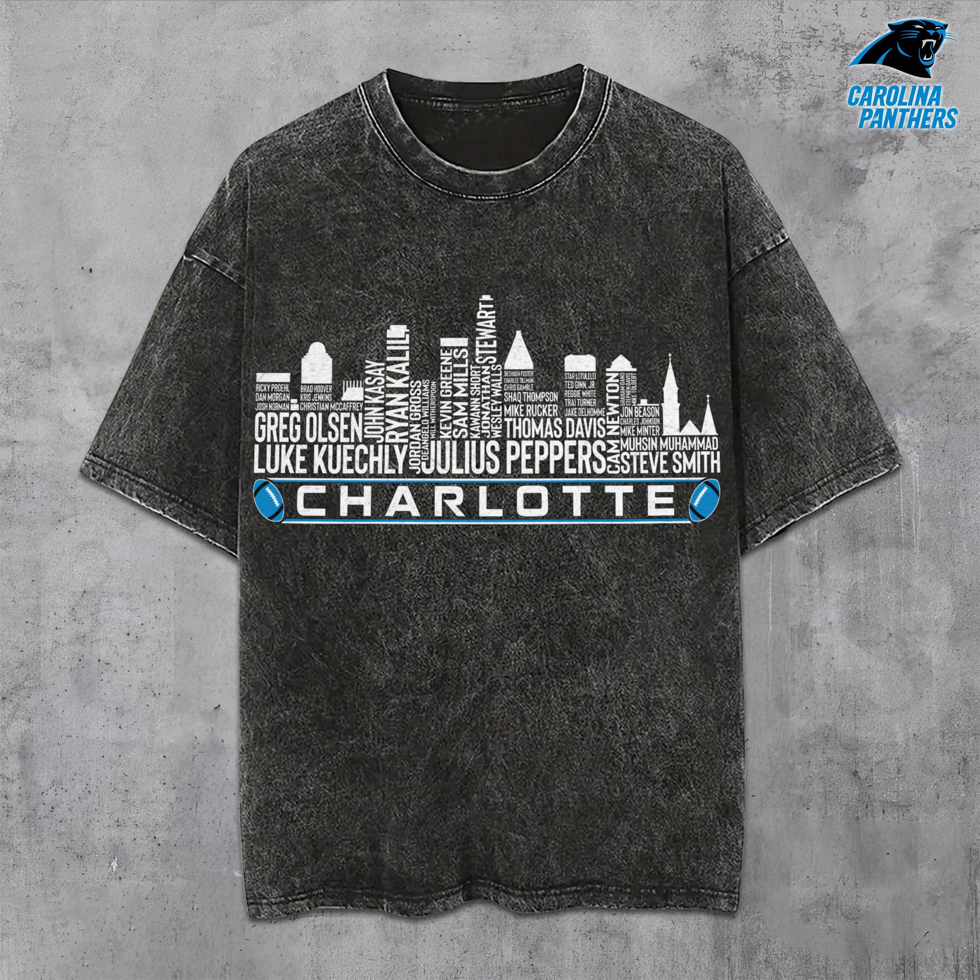 Carolina Panthers Vintage T-Shirt, Sport Shirts For Fan, Gifts For Football Lovers EHIVM-0204680