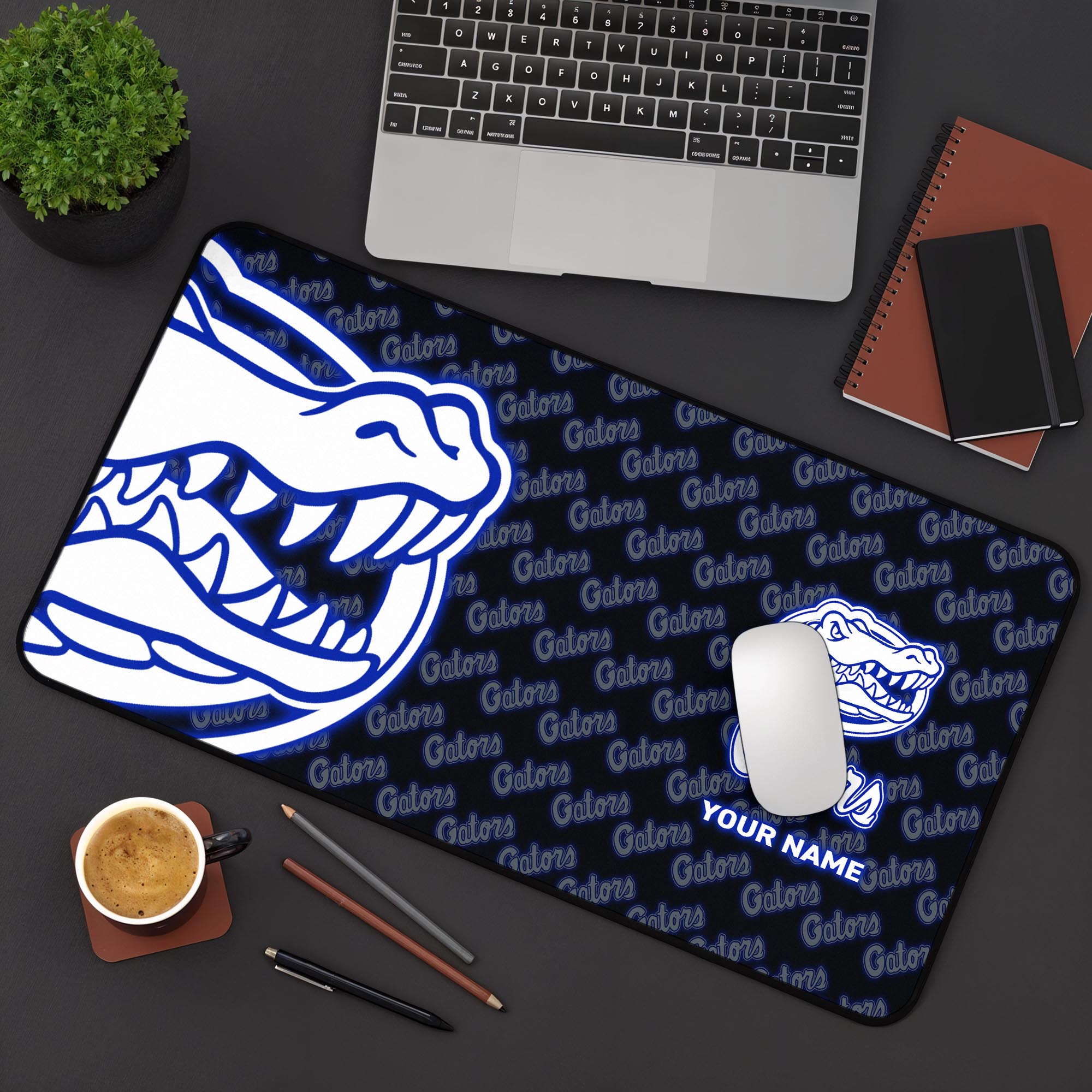 Florida Gators 2025 Version Mouse Pad Custom Printed, Sport Team Mouse Pad, Sport Gift For Fans EHIVM-04141794